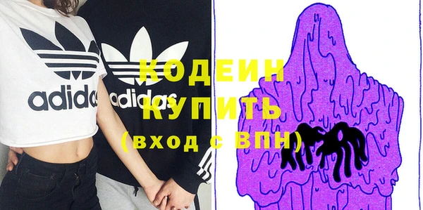 стафф Елизово