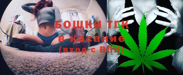 дживик Абинск