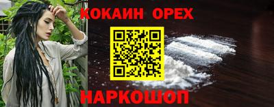 гашик Камышлов