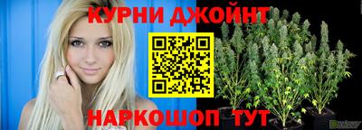 гашик Камышлов
