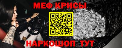 гашик Камышлов