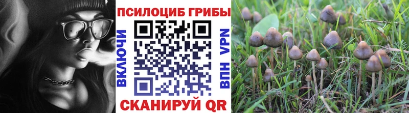 Галлюциногенные грибы MAGIC MUSHROOMS  Красноуфимск 