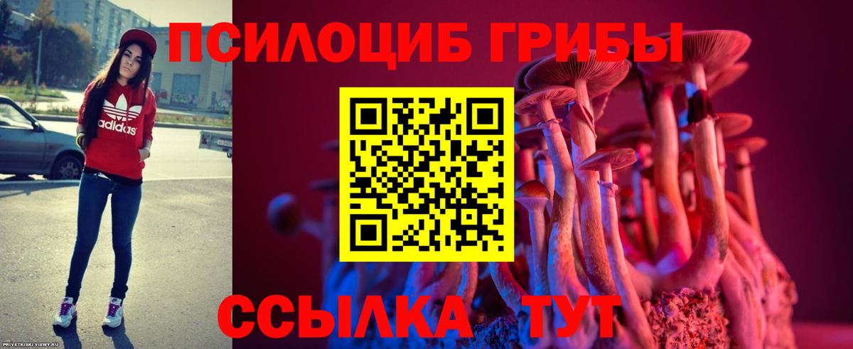 Галлюциногенные грибы GOLDEN TEACHER Красноуфимск